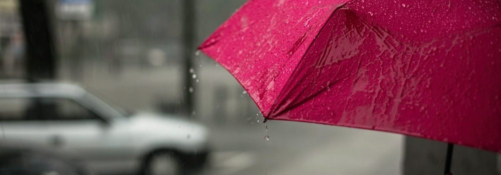 umbrella insurance D'Iberville MS